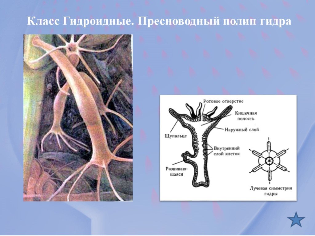 Ссылка на блэкспрут 1blacksprut me